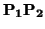 $\displaystyle \bf P_{1}P_{2}$